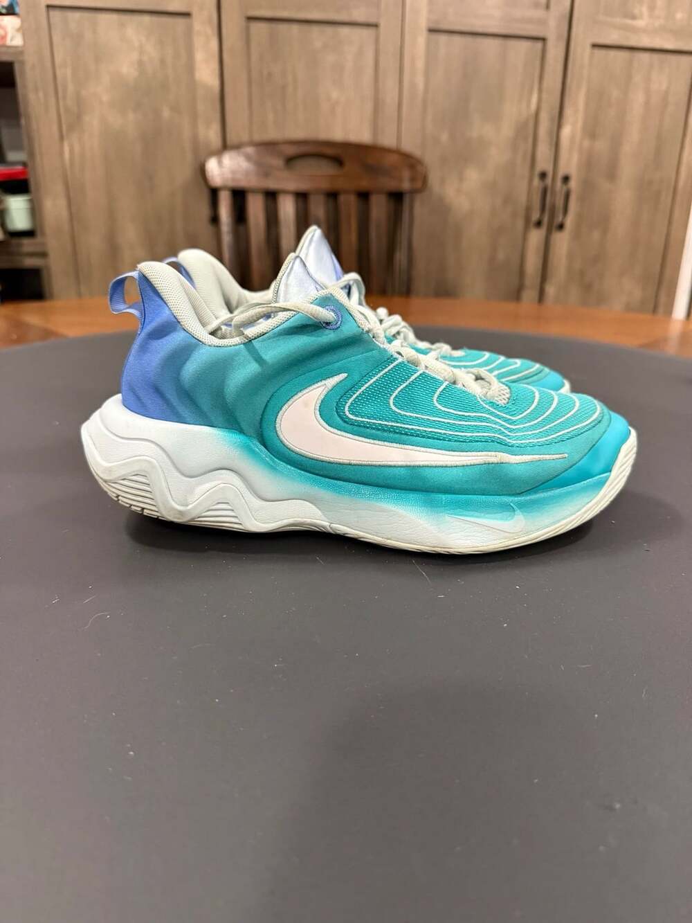 Nike Giannis Immortality 4 GS Size 6Y Christmas Dusty Cactus